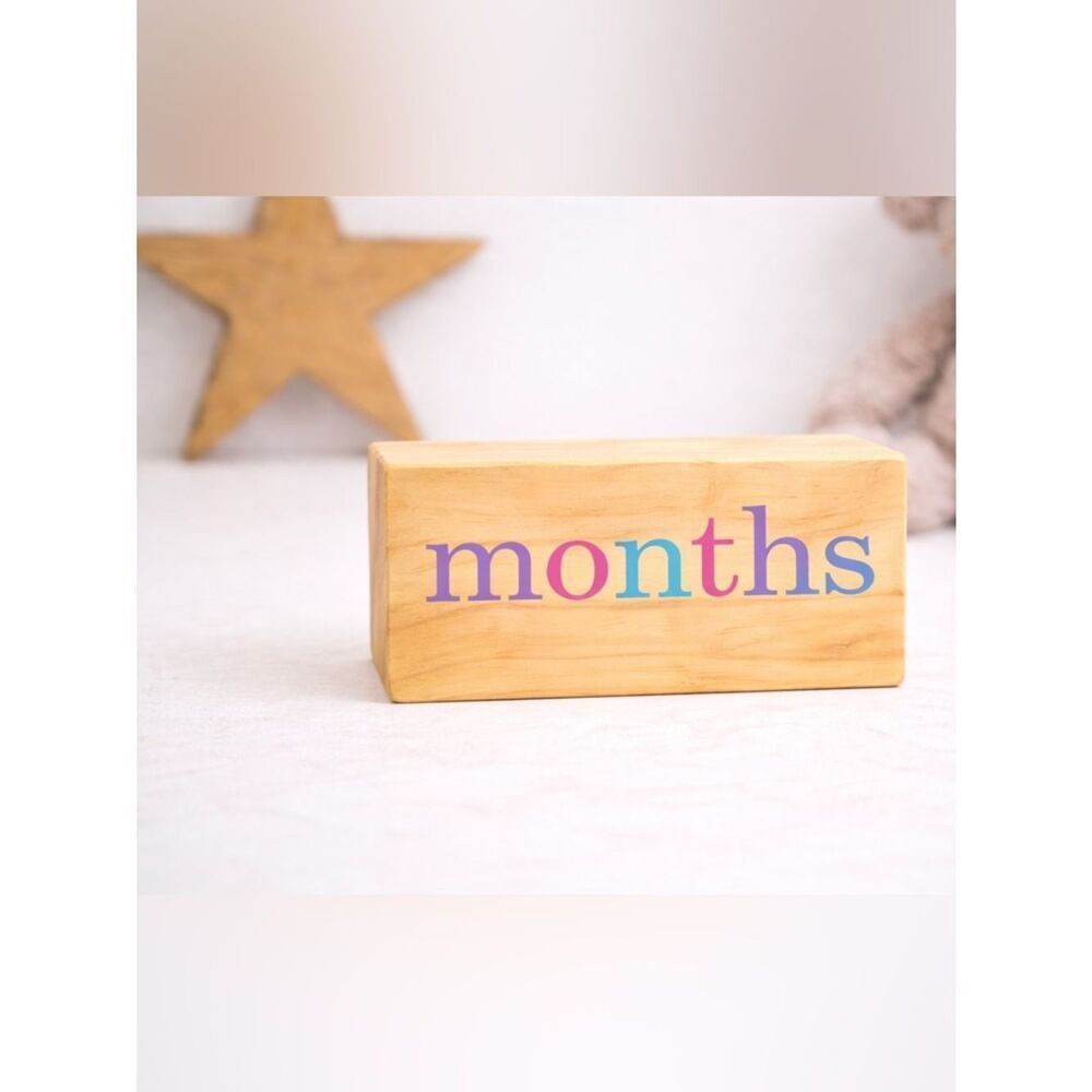 BB Blocks Wooden Baby Milestone Blocks Photo Prop Nursery Decor